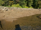 IMG 4659
